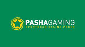 Pashagaming Nasıl Bir Site? Logo